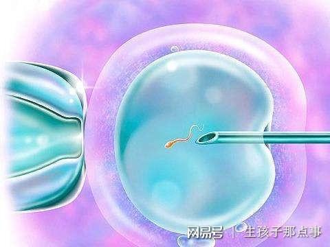 河北代妈补偿多少钱
