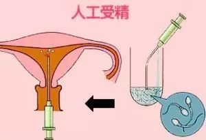 代孕行为