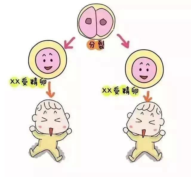 代孕