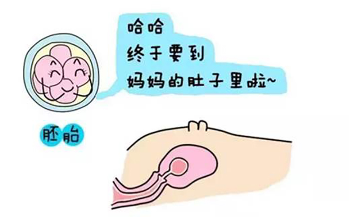 代孕佣金