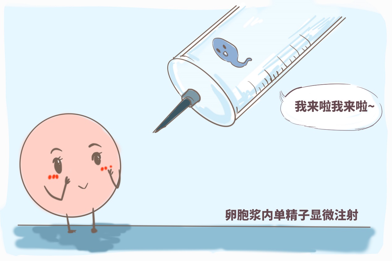 代孕