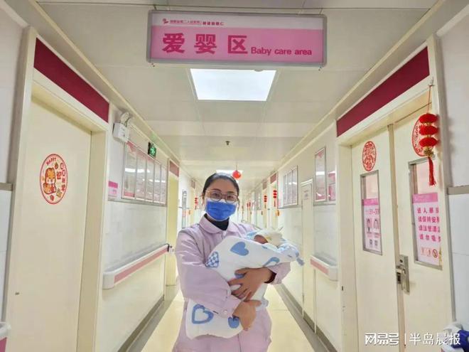 代孕诈骗案