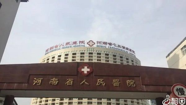 代孕互助