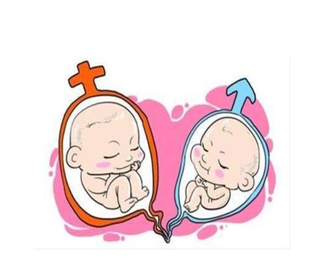 代孕试管婴儿
