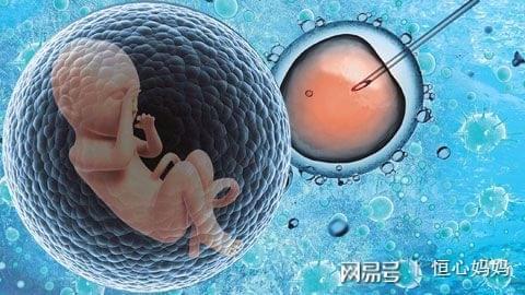 代孕费用
