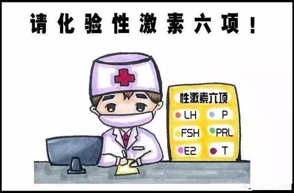 代孕行业