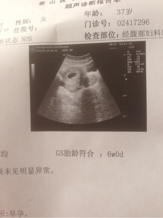 代孕诈骗