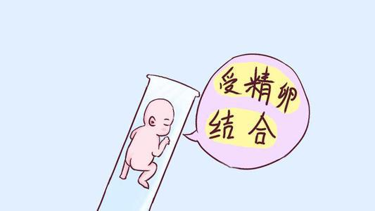 代孕胚胎移植